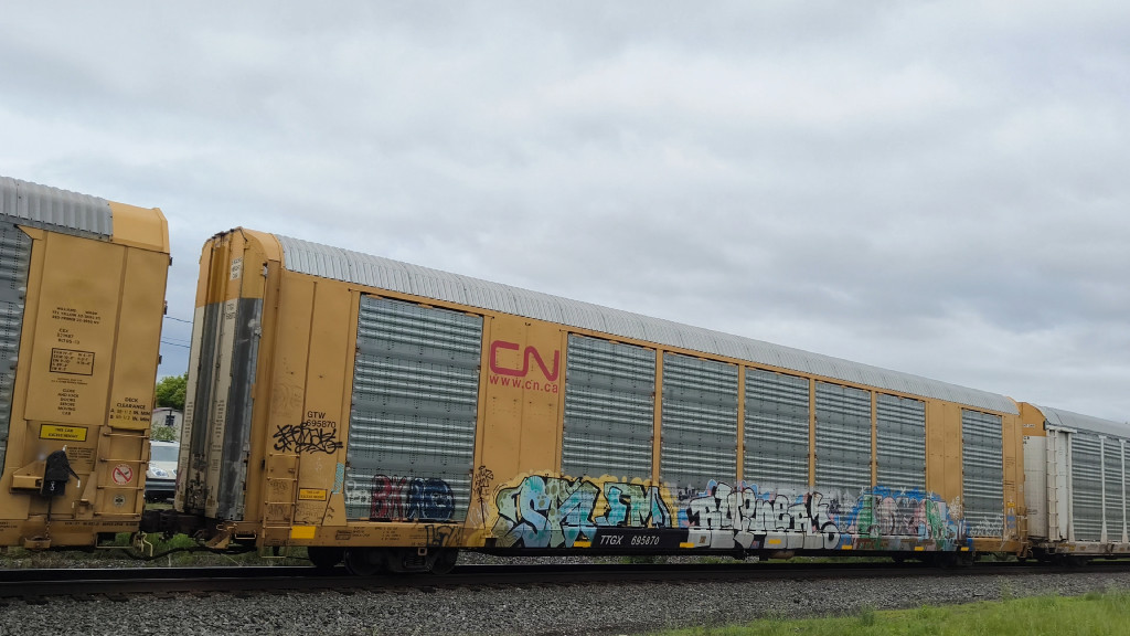 GTW 695870 (Body) TTGX 695870 (Flat)
